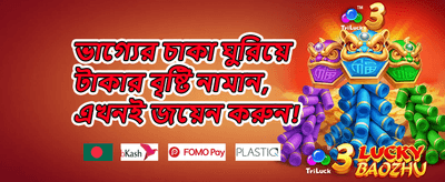 দৈনিক ভিআইপি ক্যাশব্যাক